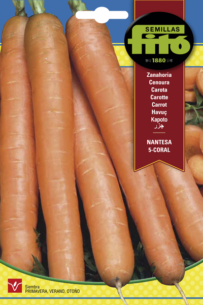 ZANAHORIA NANTESA 5 CORAL