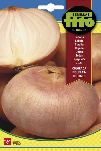 CEBOLLA COLORADA DE FIGUERAS