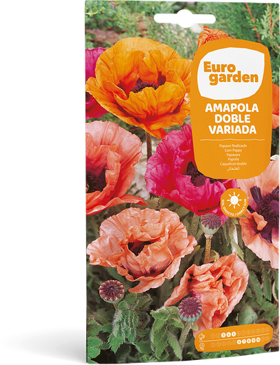 [SOBFLO010] AMAPOLA DOBLE VARIADA