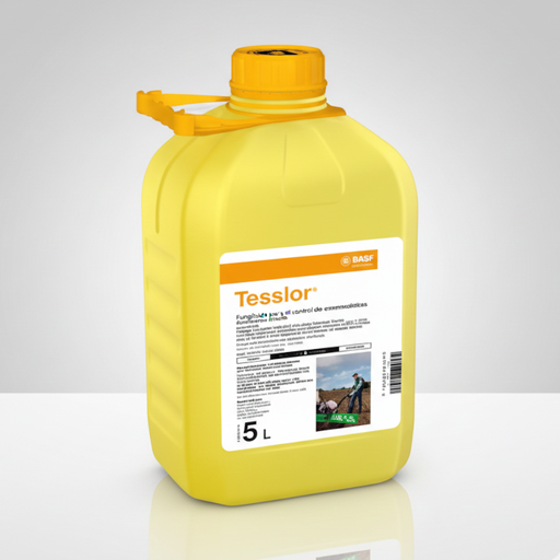 [FUNBAS260] TESSIOR 5 L