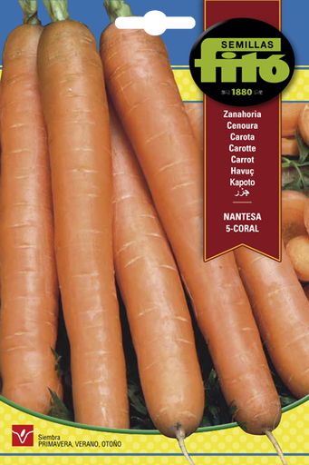 [SOBFIT034] ZANAHORIA NANTESA 5 CORAL