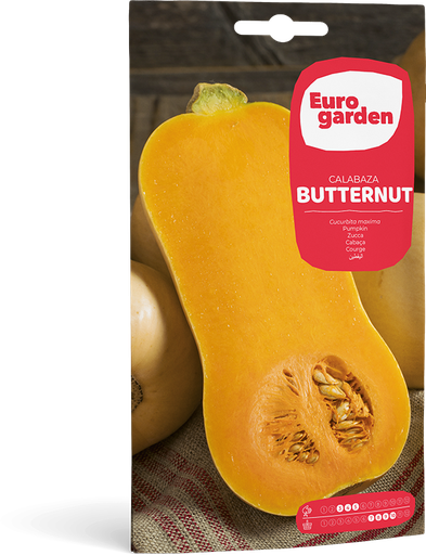 [SOBGAR056] CALABAZA BUTTERNUT